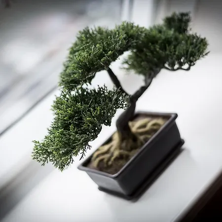 Strandstrasse 6, Whg. 22 * Westerland